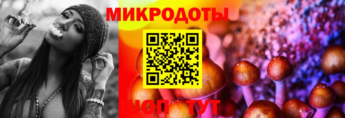 Псилоцибиновые грибы Magic Shrooms  Вход с VPN  Псилоцибиновые грибы MAGIC MUSHROOMS  Заволжье 